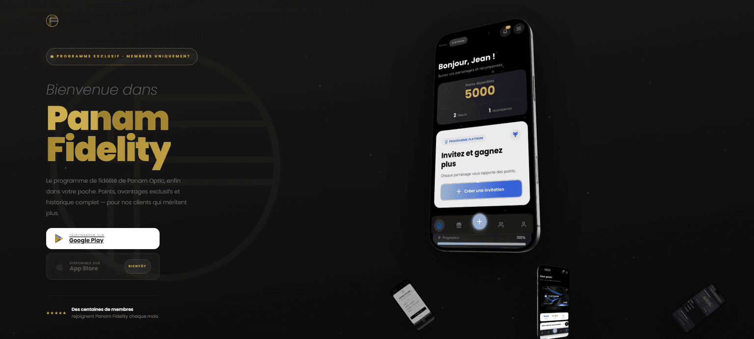 Aperçu du site PANAM FIDELITY